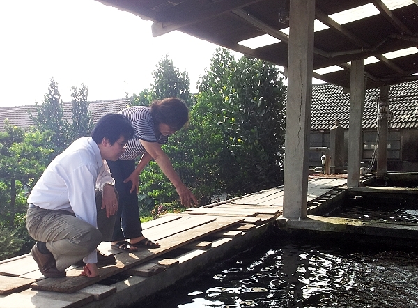 于欣昌锦鲤养殖场参访，王育文董事长（左）询问一尾数十万元锦鲤的养殖技术 - 